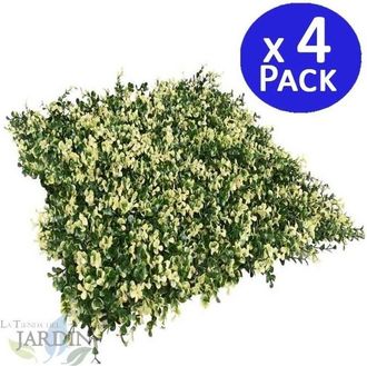 No Brand No Brand - Pack 4 Jardin Vertical Flavo 50x50 Cm Planta Artificial Decoraci&oacute;n Pared Interior Exterior Jardines Verticales