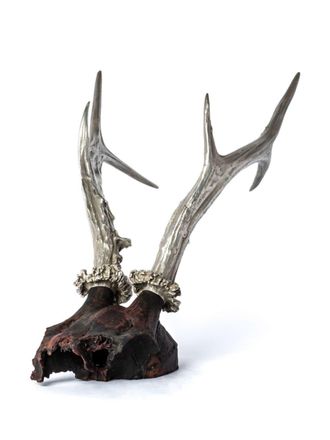Parts Of Four Double Horns skull decorative object - Silver