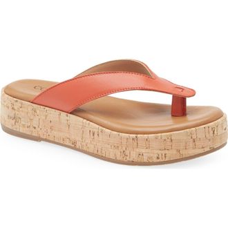 Cordani Kendra Platform Flip Flop in Papaya Leather at Nordstrom, Size 6.5Us