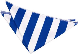 DQT Men Blue Solid Plain Stripe Floral Paisley Polka Dot Pocket Square - Stripe Royal Blue & White