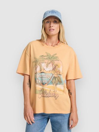 Billabong Vibe Time T-Shirt braun