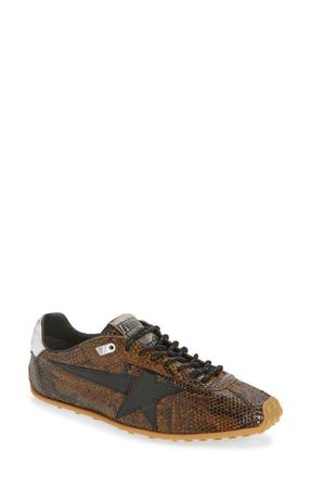 Golden Goose Marathon Speed Sneaker in Brown/silver at Nordstrom, Size 11Us