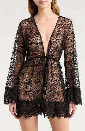 Kilo Brava Embroidered Sheer Mesh Robe in Black at Nordstrom, Size 3X-Large