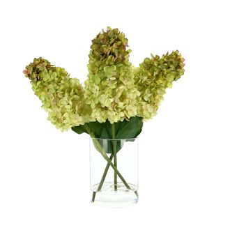 Creative Displays Inc. Cone Shaped Hydrangea in Glass Vase with Acrylic Water