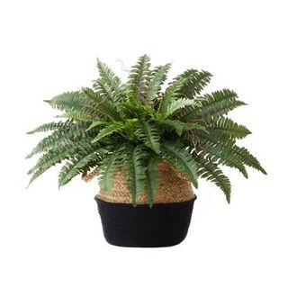 Nearly Natural 23-in Artificial Boston Fern Plant with Handmade Jute & Cotton Basket DIY KIT in Green at Nordstrom