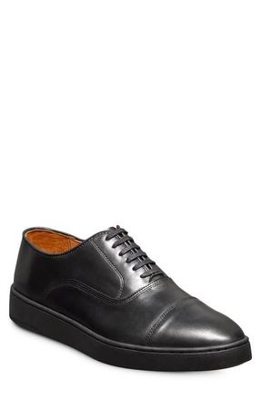 Allen Edmonds Park 2.0 Sneaker in Black/Black at Nordstrom, Size 10.5