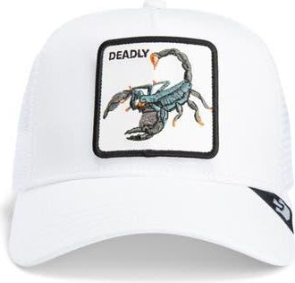 Goorin Brothers The Deadly Scorpion Cap in White at Nordstrom Rack