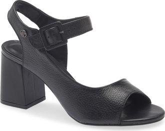 Bottero Block Heel Sandal in Preto at Nordstrom, Size 11