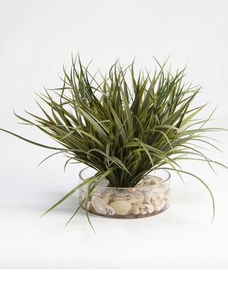 D&W Silks Inc Grass With Seashells In Glass Vase