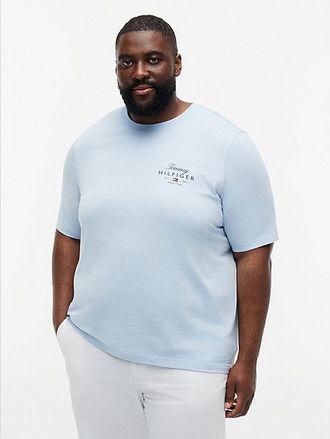 Tommy Hilfiger Plus Logo Jersey Crew Neck T-Shirt