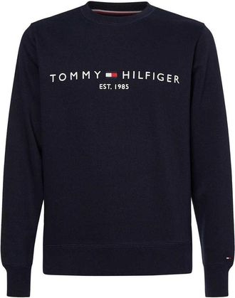 Tommy Hilfiger Heren Established Crew Neck Regular Sweater (Lichtblauw)