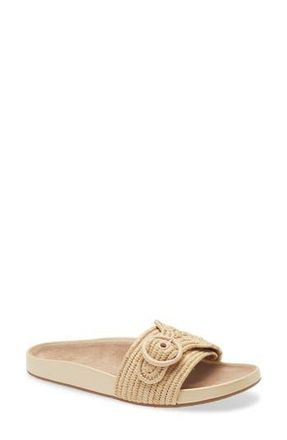 Kate Spade New York michelle slide sandal in Natural at Nordstrom Rack, Size 9.5