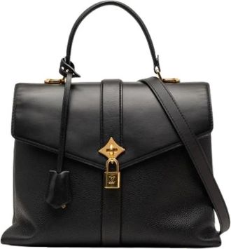 Louis Vuitton Pre-owned Handbags, female, Black, Size: ONE SIZE Pre-owned The Rose Des Vent