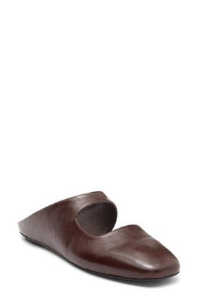 Jeffrey Campbell Siesta Leather Mule in Coffee at Nordstrom, Size 8.5
