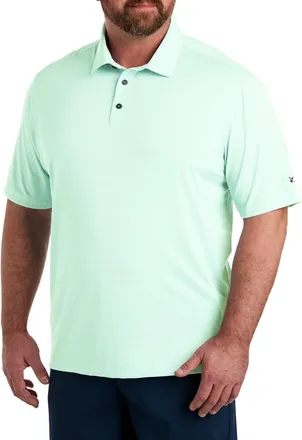 Reebok Big & Tall Performance Space-Dyed Polo Shirt in Inverted Aqua at Nordstrom, Size Xxx-Large