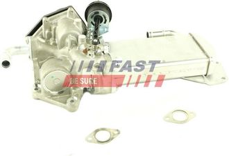 OEM Intercambiador De Calor Egr Ft60423 R&aacute;pido