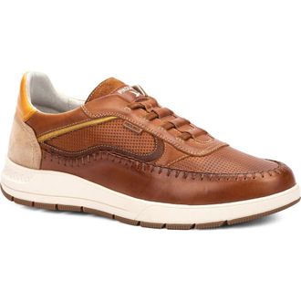 Pikolinos Salamanca Sneaker in Cuero at Nordstrom, Size 11.5-12Us