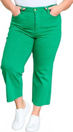 Judy Blue Goddess Tummy Control Wide Leg Crop Jean - Plus In Green