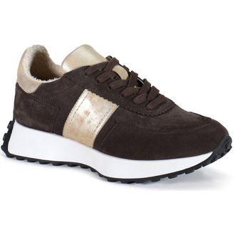Diba KNOW IT ALL Comfort Casual Sneaker in Dark Brown/gold at Nordstrom, Size 7.5