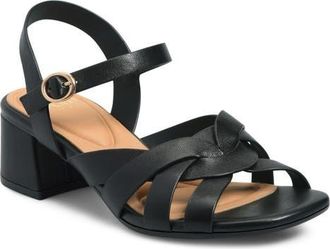 S&ouml;fft Lindsey Ankle Strap Sandal in Black at Nordstrom, Size 6.5