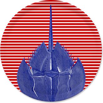 Caskata Bunny Maximus Large Rectangular Birchwood Tray - Wood & Melamine in Horseshoe Crab Tray at Nordstrom
