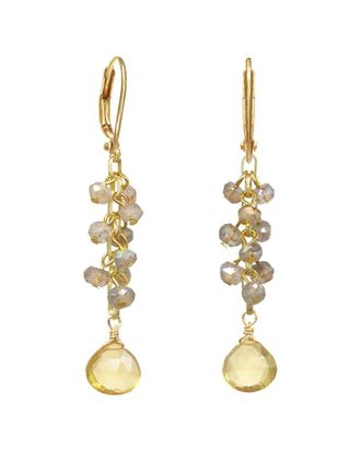 Rachel Reinhardt Jewelry Gold Over Silver Gemstone Cluster Earrings