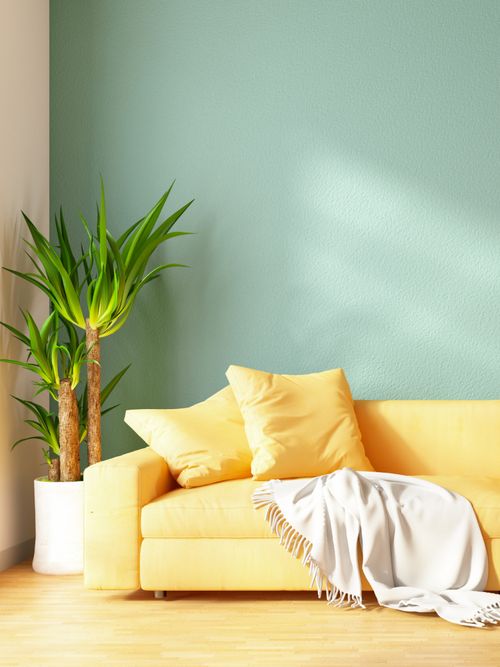 Wohnzimmer mit einer grünen Wandfarbe und gelbem Sofa.