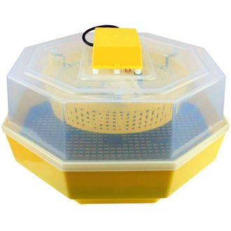 Far Incubatrice 60 uova gallina quaglia animali 20 w incubatore regolabile agricoltura avicola 117ev