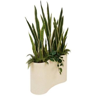 Atmosphera Atmosphera - Planta Artificial En Maceta Sky 80x30cm Cr&eacute;ateur DInt&eacute;rieur