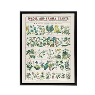 Artery8 School & family charts No XXII Calkins Framed Canvas Wall Art Print in White | Size: W24 x H32