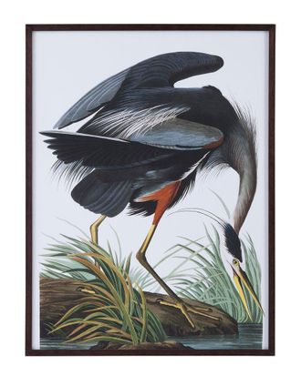 Bassett Mirror Company Audubon Great Blue Heron Framed Print