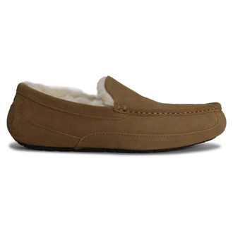 UGG Ascot Suede Mens Slip On Shoes - Chestnut - Size:UK 12