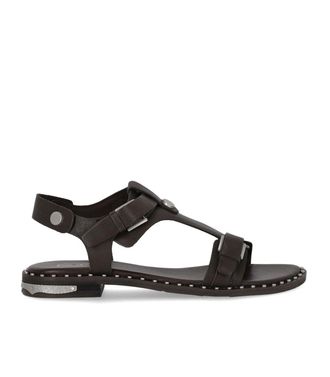 Ash SANDALO FLAT PIPER MARRONE SCURO ASH