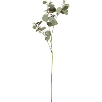 Napa Home & Garden Silver Dollar Eucalyptus Branch 43 in Green at Nordstrom