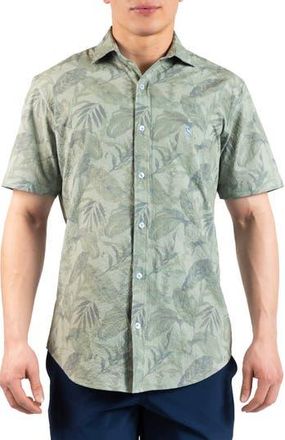 Tailorbyrd Tropical Leaves Short Sleeve Button-Up Shirt in Sage at Nordstrom Rack, Size Xx-Large