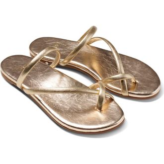 beek Sunbird Slide Sandal in Gold at Nordstrom, Size 11