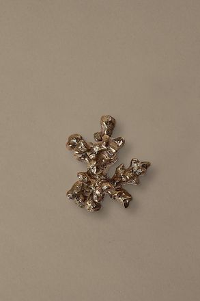 Ferm Living Comber Coral Branch Brass Hook