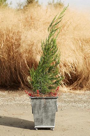Terrain Ring Handle Iron Taper Planter, 15
