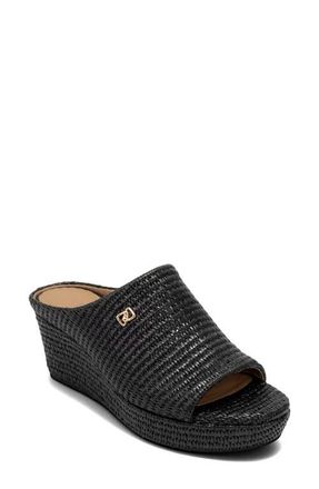 Aerosoles Cafe Woven Wedge Sandal in Black at Nordstrom, Size 9.5