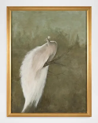 John-Richard The White Peacock Framed Giclee by Debra Ferrari
