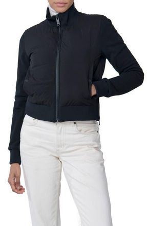The Recycled Planet Nina Hybrid Water Resistant Down Recycled Down Puffer Jacket in Black at Nordstrom, Size X-Large
