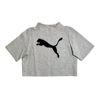 Puma Womens Pullover Evostripe Sweatshirt In Gray