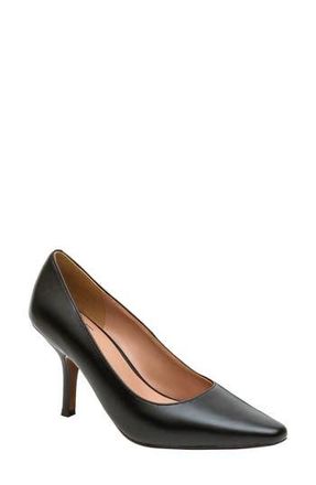 Linea Paolo Polina Pump in Black Nappa at Nordstrom Rack, Size 5.5