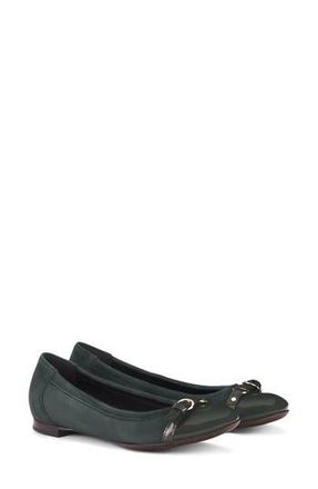 AGL Monika Leopard Print Flat in Sherwood at Nordstrom Rack, Size 10.5Us / 40.5Eu
