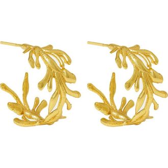 Ottoman Hands Zephyr Hoop Earrings in Brass at Nordstrom