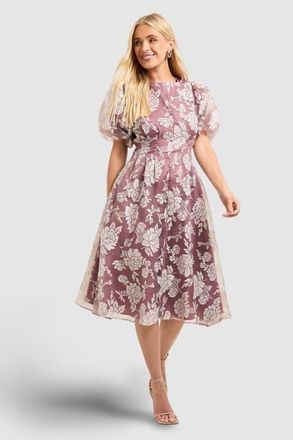 Wallis Petite Floral Puff Sleeve Midi Dress in Rose at Nordstrom, Size 14P