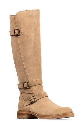 Donald J Pliner Carlota Knee High Moto Boot in Tobacco at Nordstrom Rack, Size 5.5