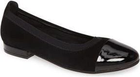 David Tate Nicole Cap Toe Flat in Black Suede at Nordstrom Rack, Size 10