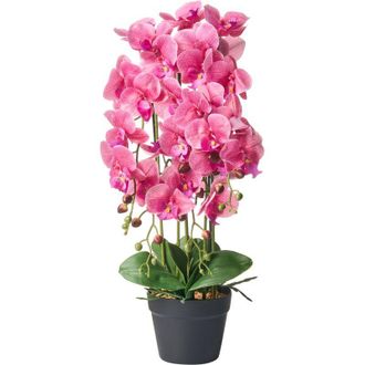 Beliani Planta Artificial En Maceta Orqu&iacute;dea Planta De Interior Decoraci&oacute;n De Pl&aacute;stico 65 Cm Rosa Orchid