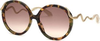 Roberto Cavalli SRC004M 0AGG Shiny Havana/Gold/Brown Gradient